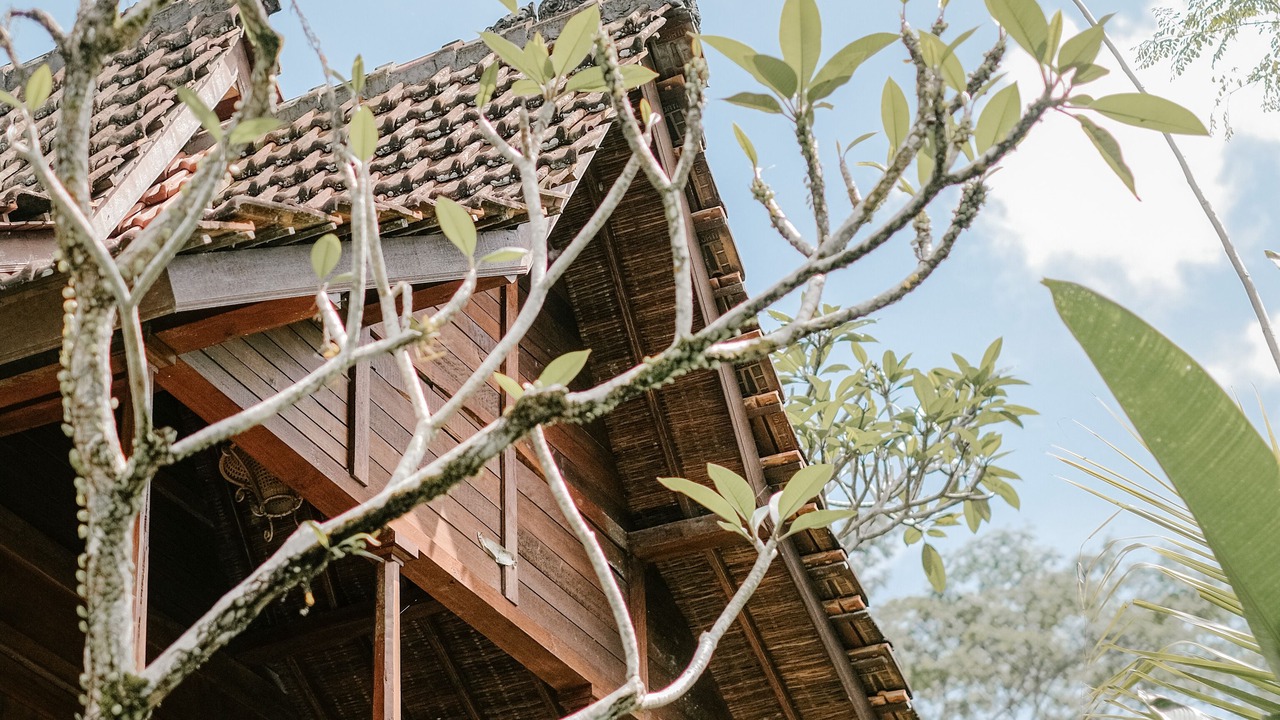 Photo of Outdoor in Payangan
