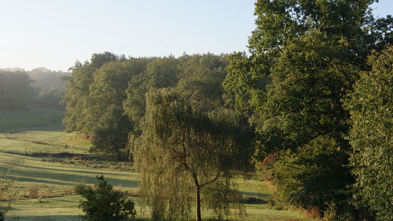 Photo of Outdoor in Saint-Etienne-de-Fursac