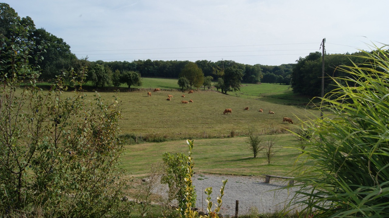 Photo of Outdoor in Saint-Etienne-de-Fursac