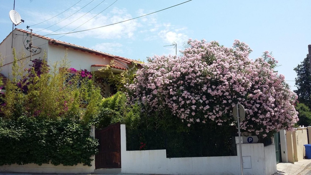 Photo of Outdoor in Saint-Martin