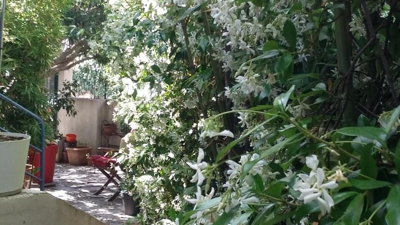 Photo of Outdoor in Saint-Martin