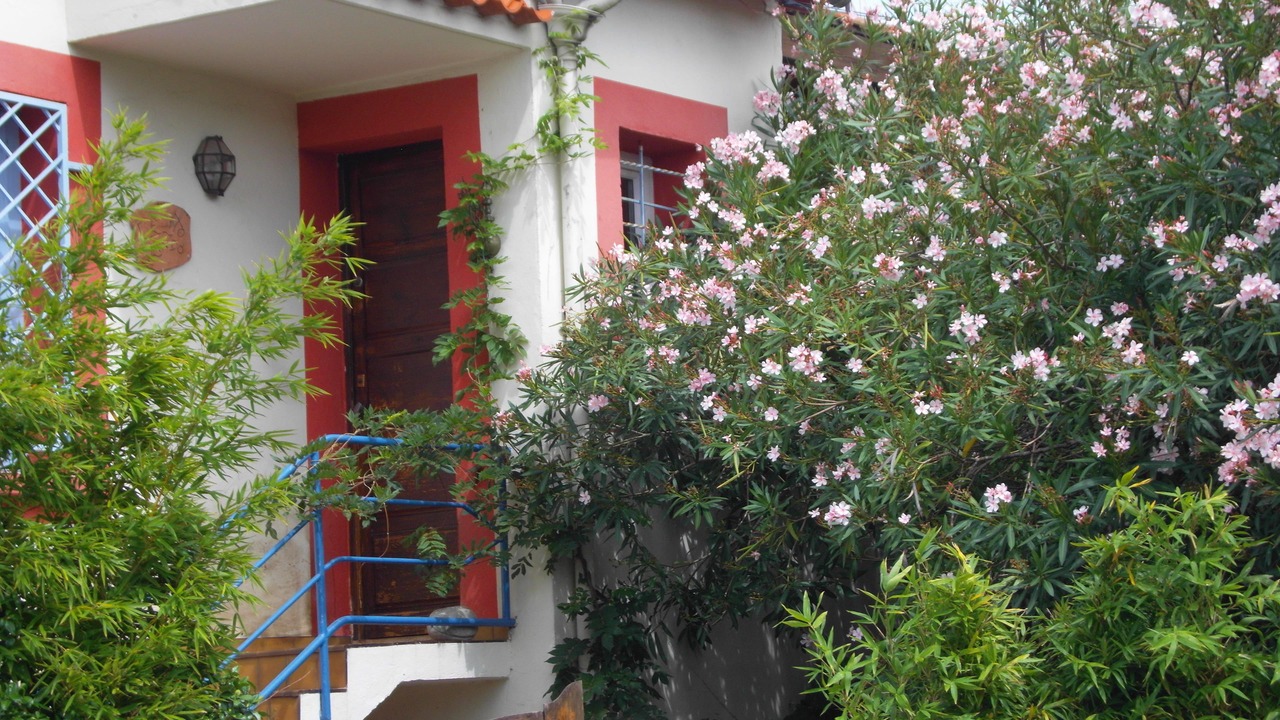 Photo of Outdoor in Saint-Martin