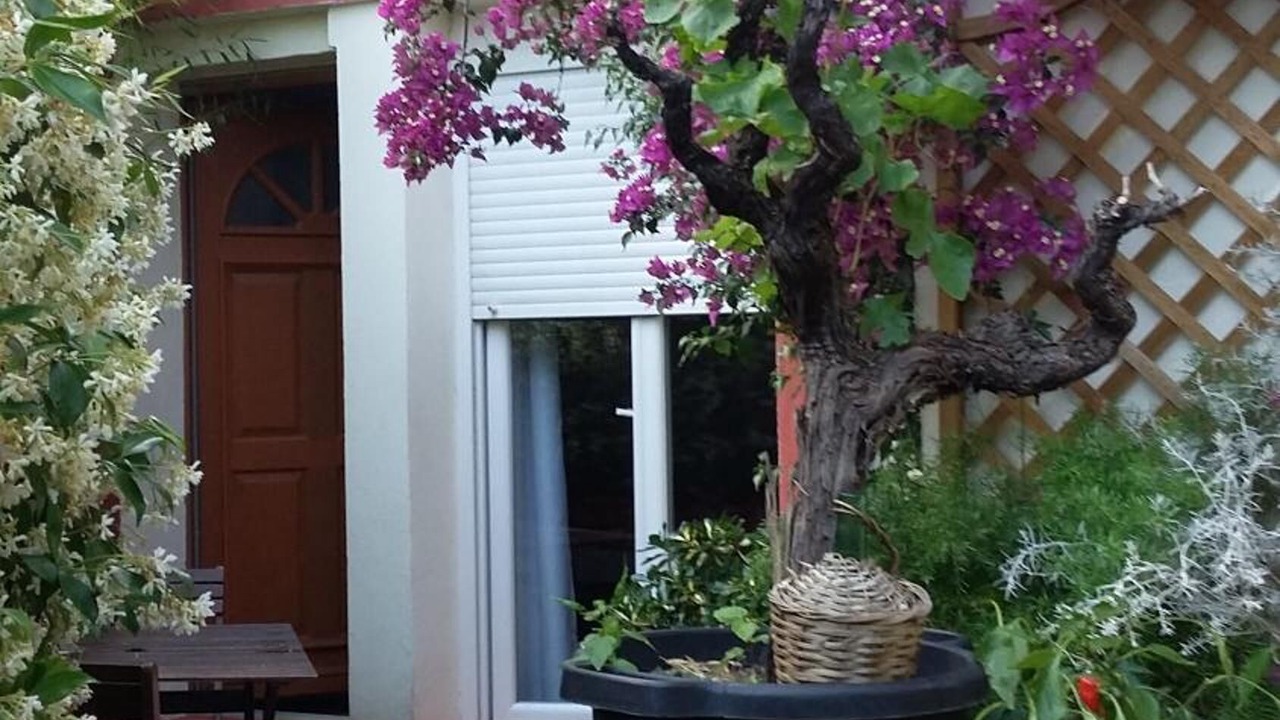 Photo of Outdoor in Saint-Martin