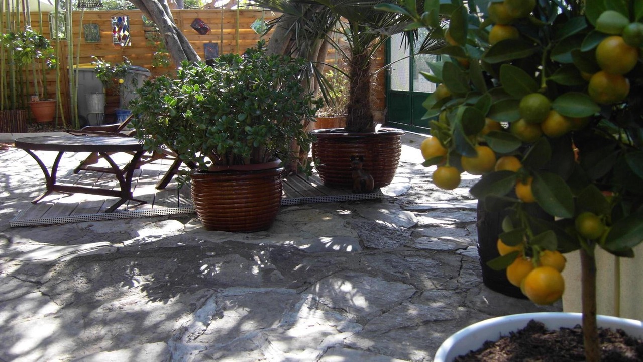 Photo of Outdoor in Saint-Martin