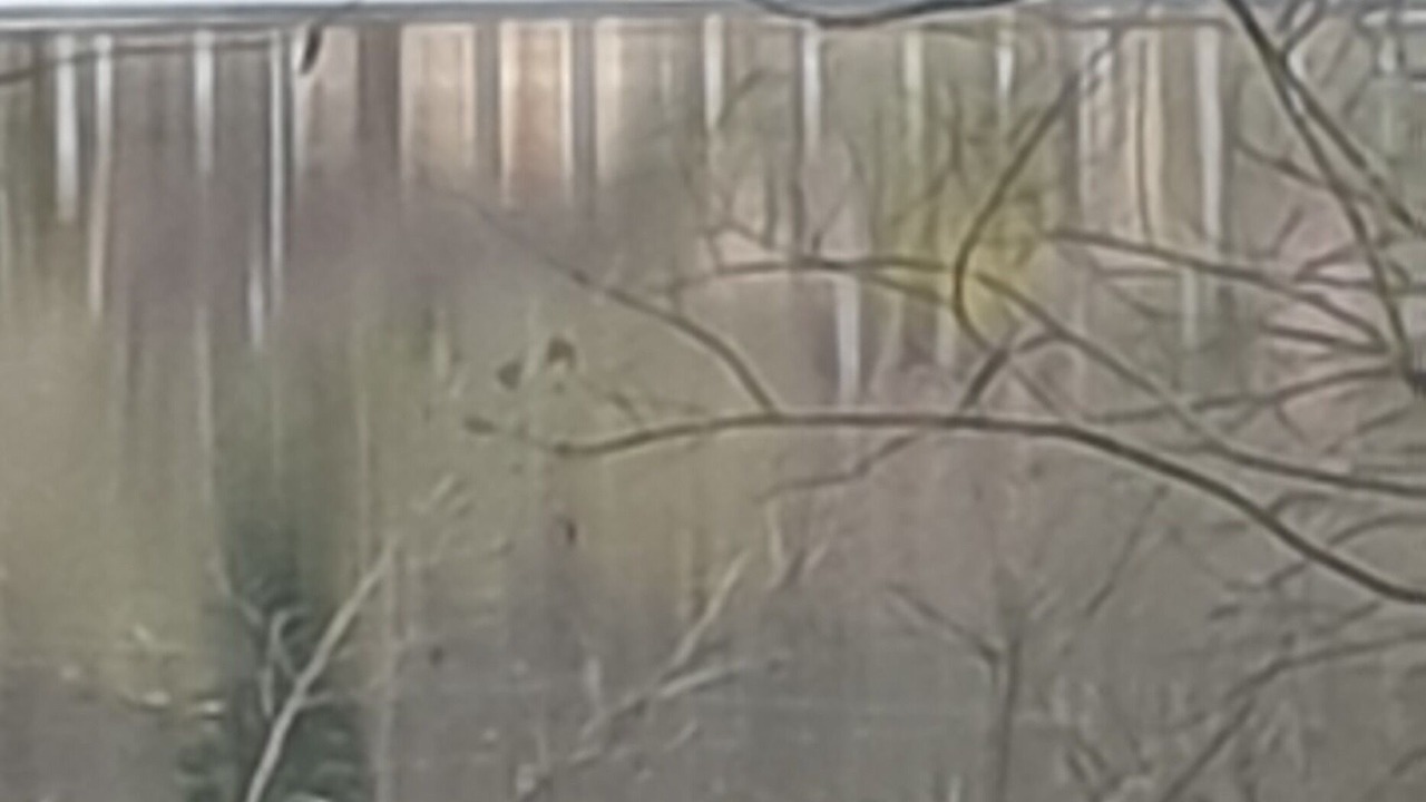 Photo of Others in Saint-Amand-Montrond