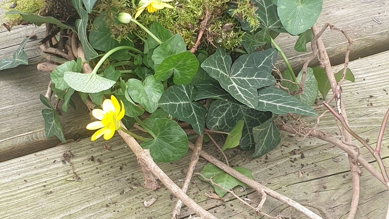 Photo of Others in Saint-Amand-Montrond