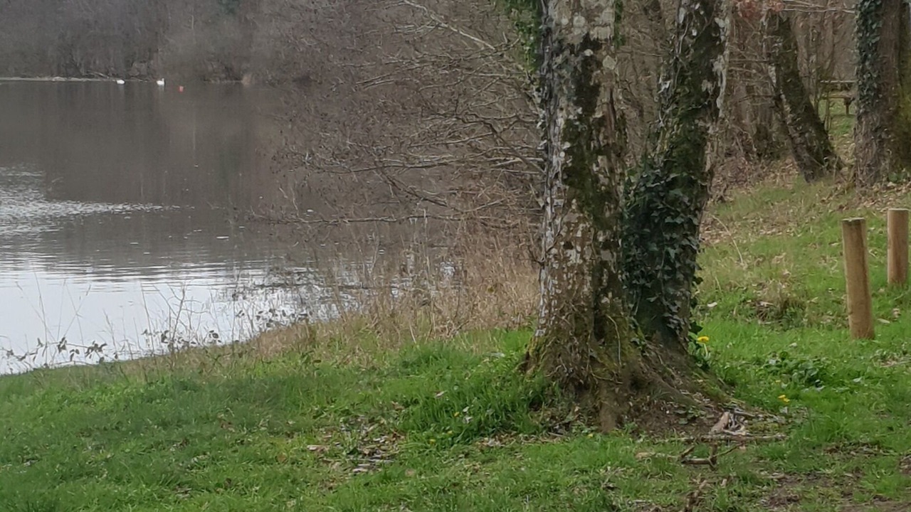 Photo of Others in Saint-Amand-Montrond