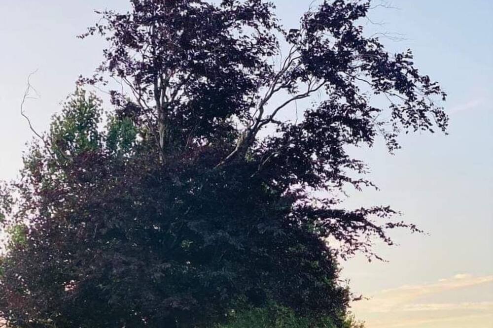 Photo of Outdoor in Nykobing Falster