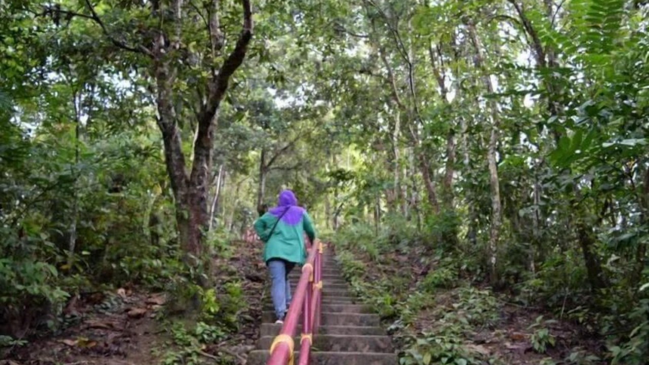 Photo of Outdoor in Sungai Lembing
