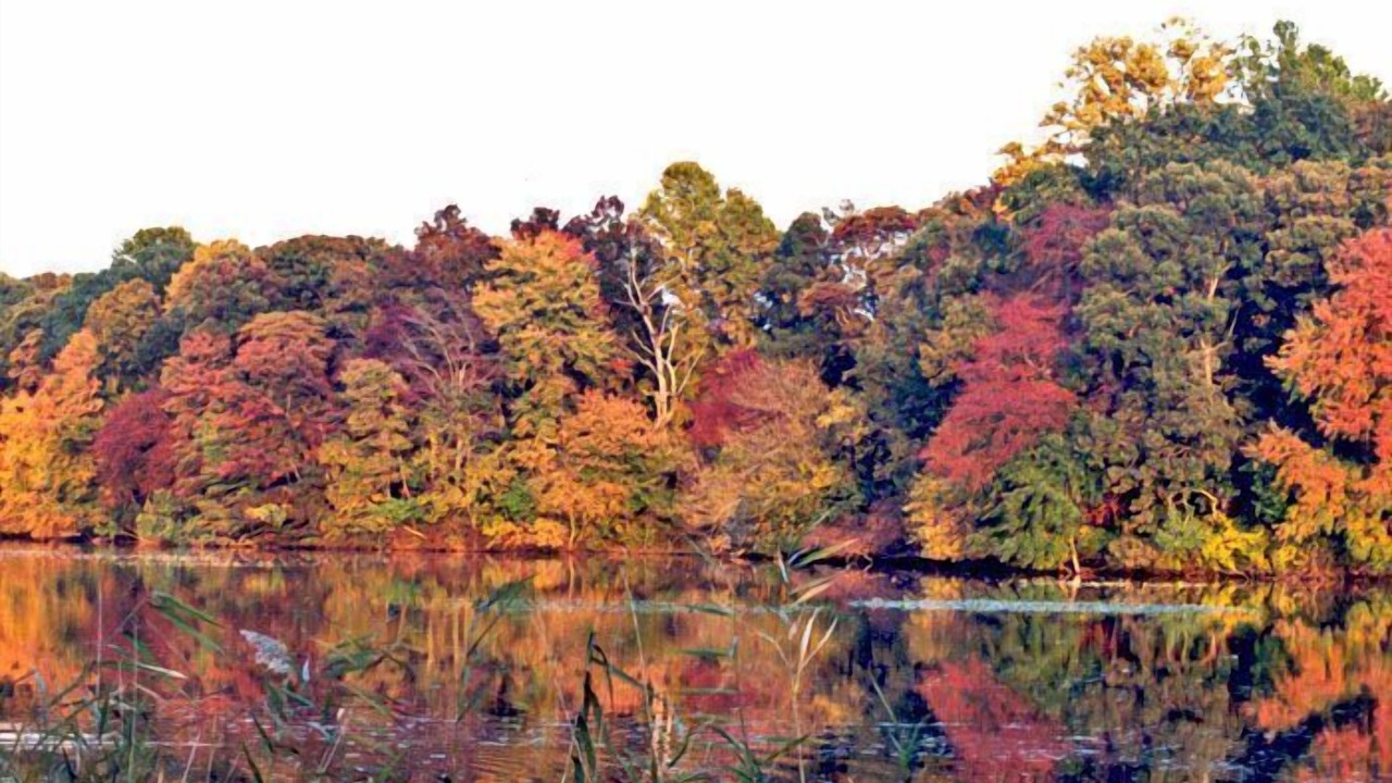 Photo of Others in Odessa