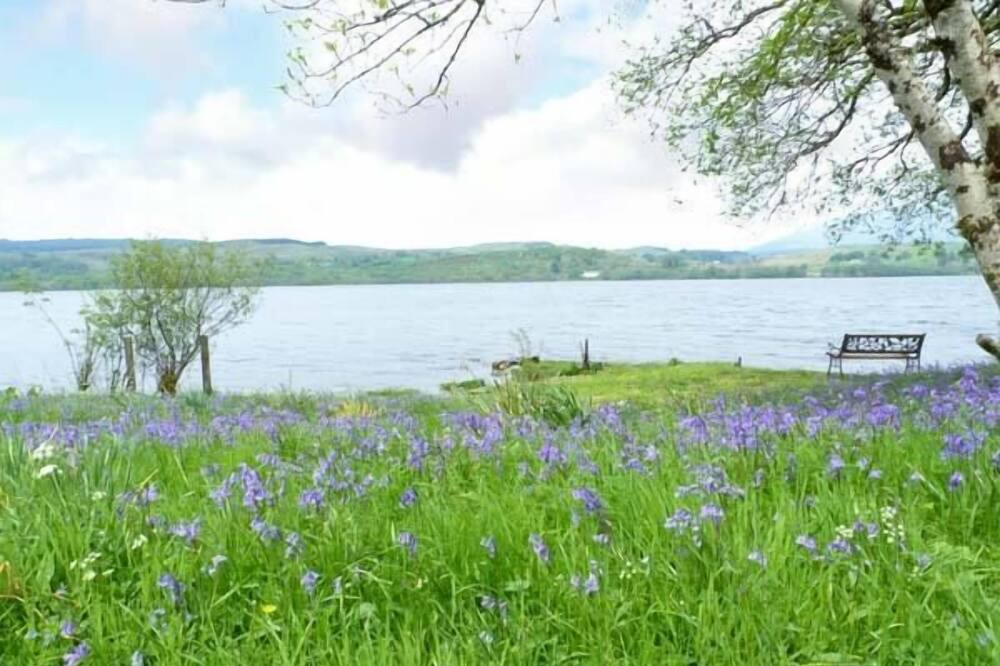 Photo of Others in Dalmally