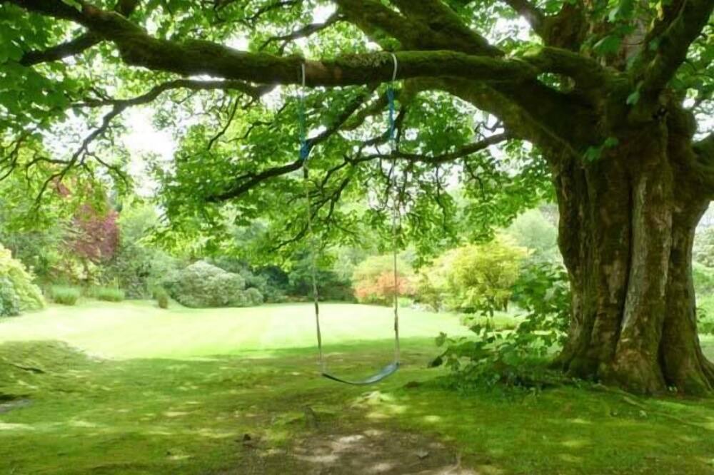 Photo of Outdoor in Dalmally