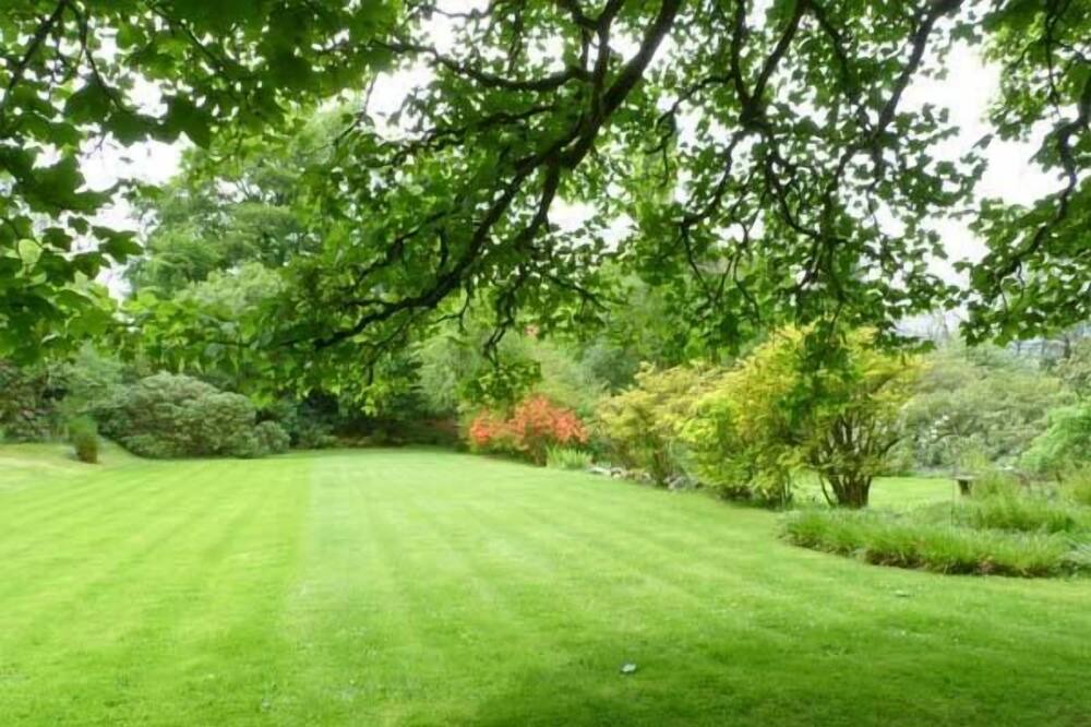 Photo of Outdoor in Dalmally