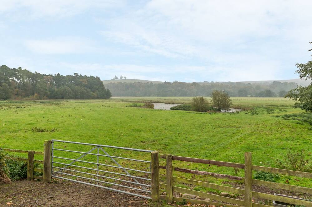 Photo of Others in Tarset