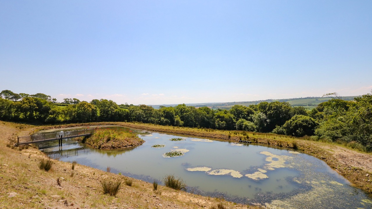 Photo of Others in Littleham