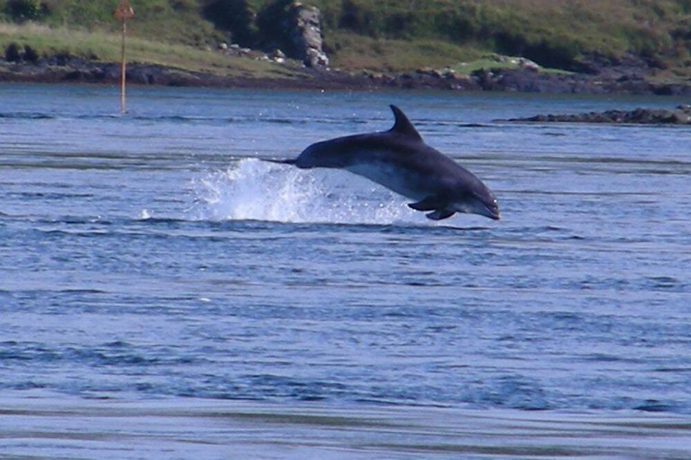 Photo of Others in Slate Islands