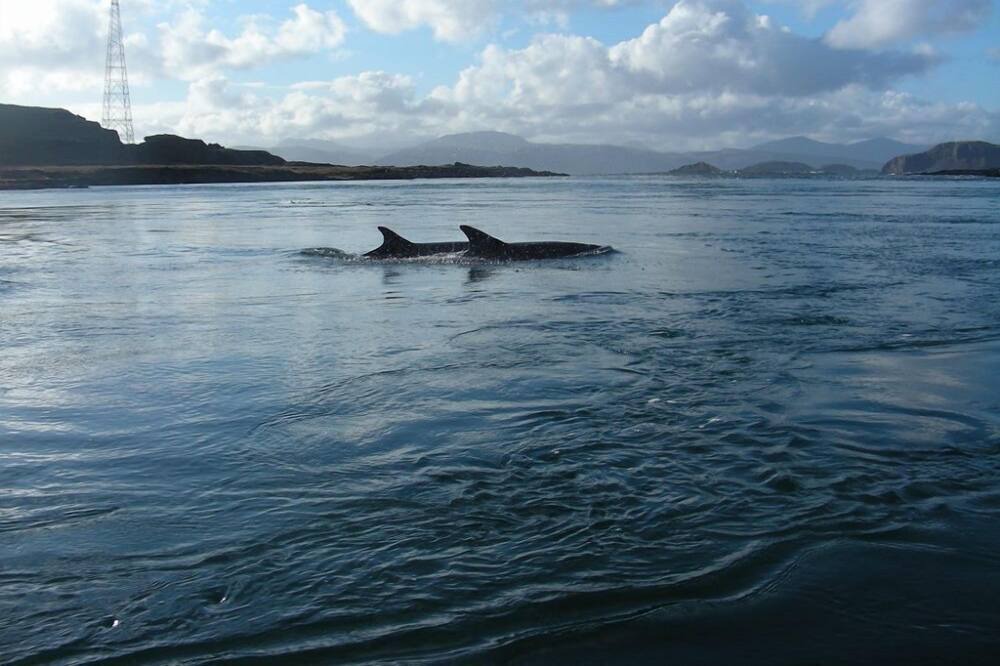 Photo of Others in Slate Islands