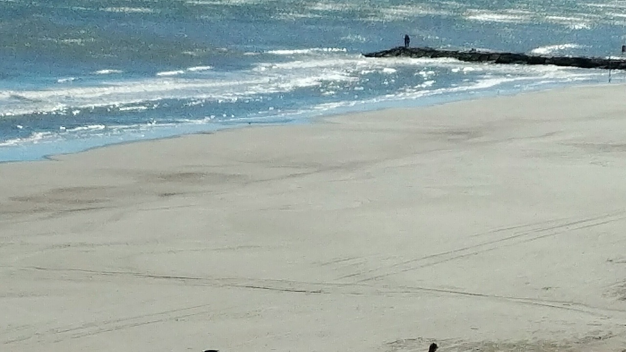 Photo of Outdoor in San Jacinto