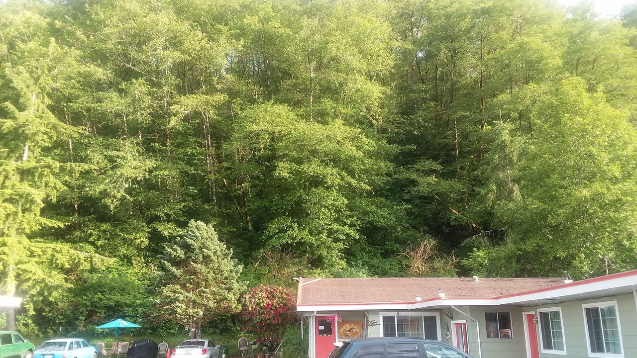 Photo of Buildings in Aberdeen