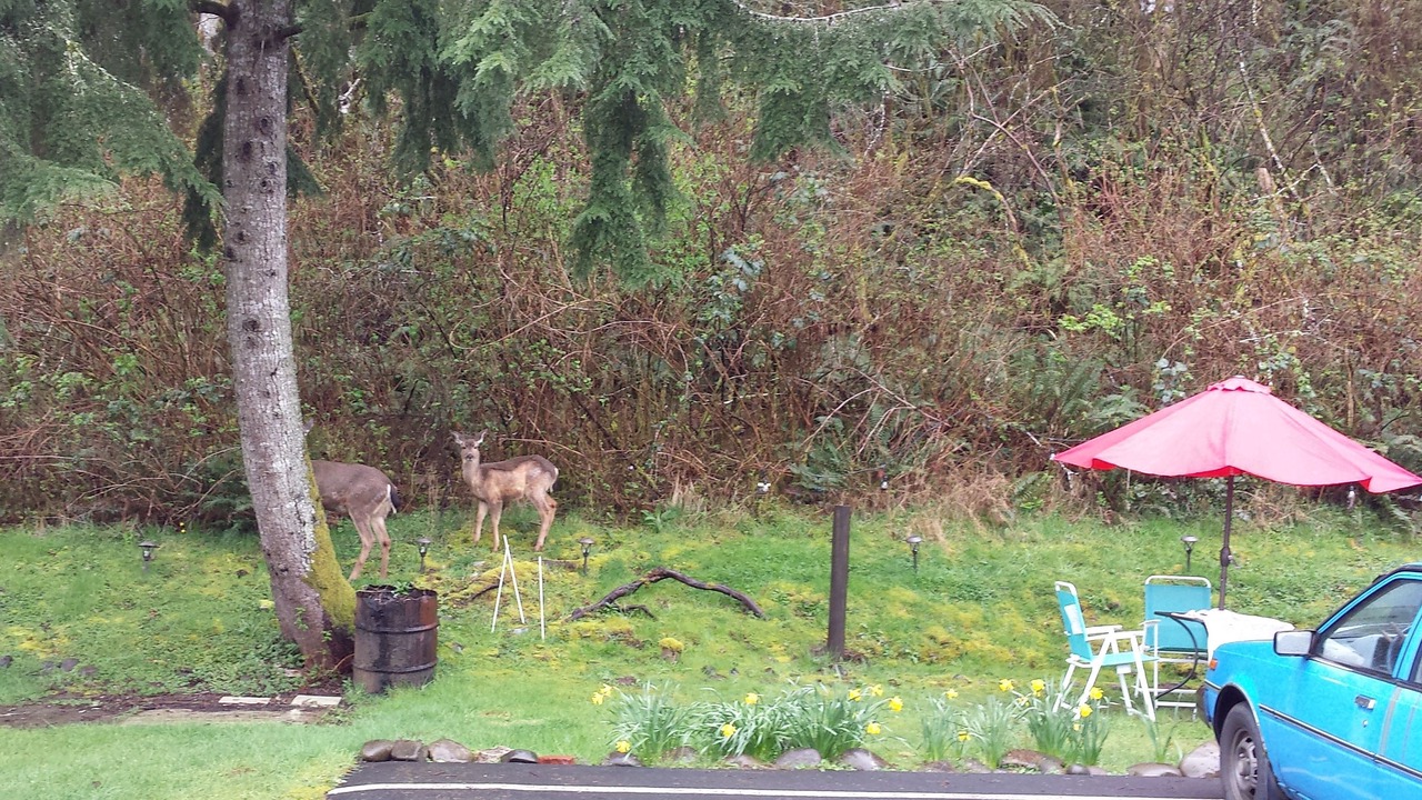 Photo of Livingroom in Aberdeen