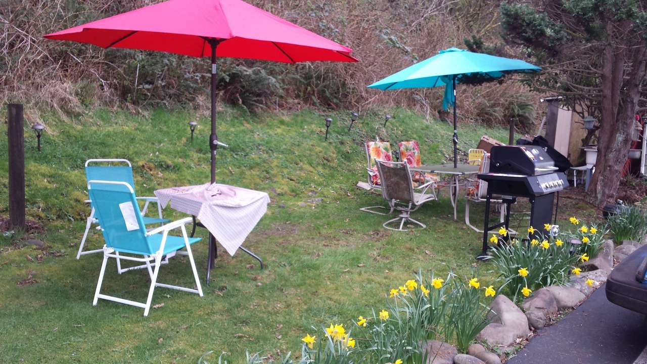 Photo of Others in Aberdeen