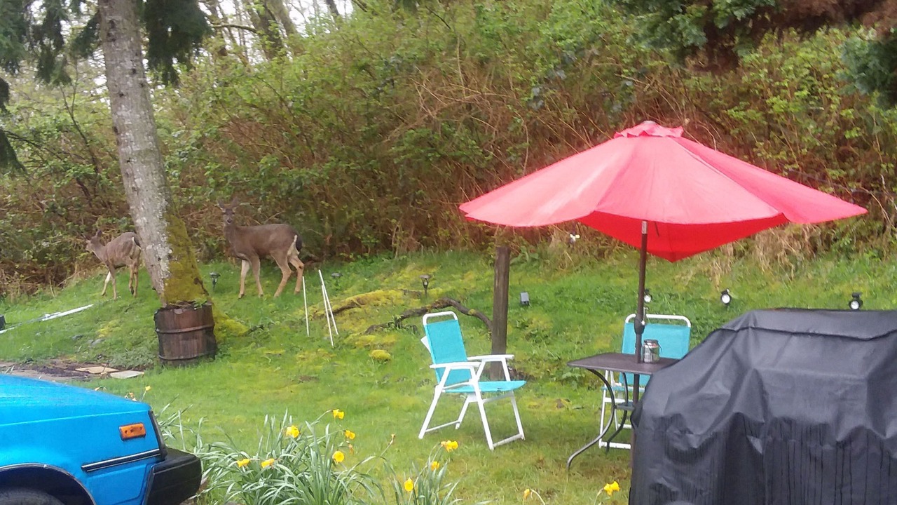 Photo of Livingroom in Aberdeen