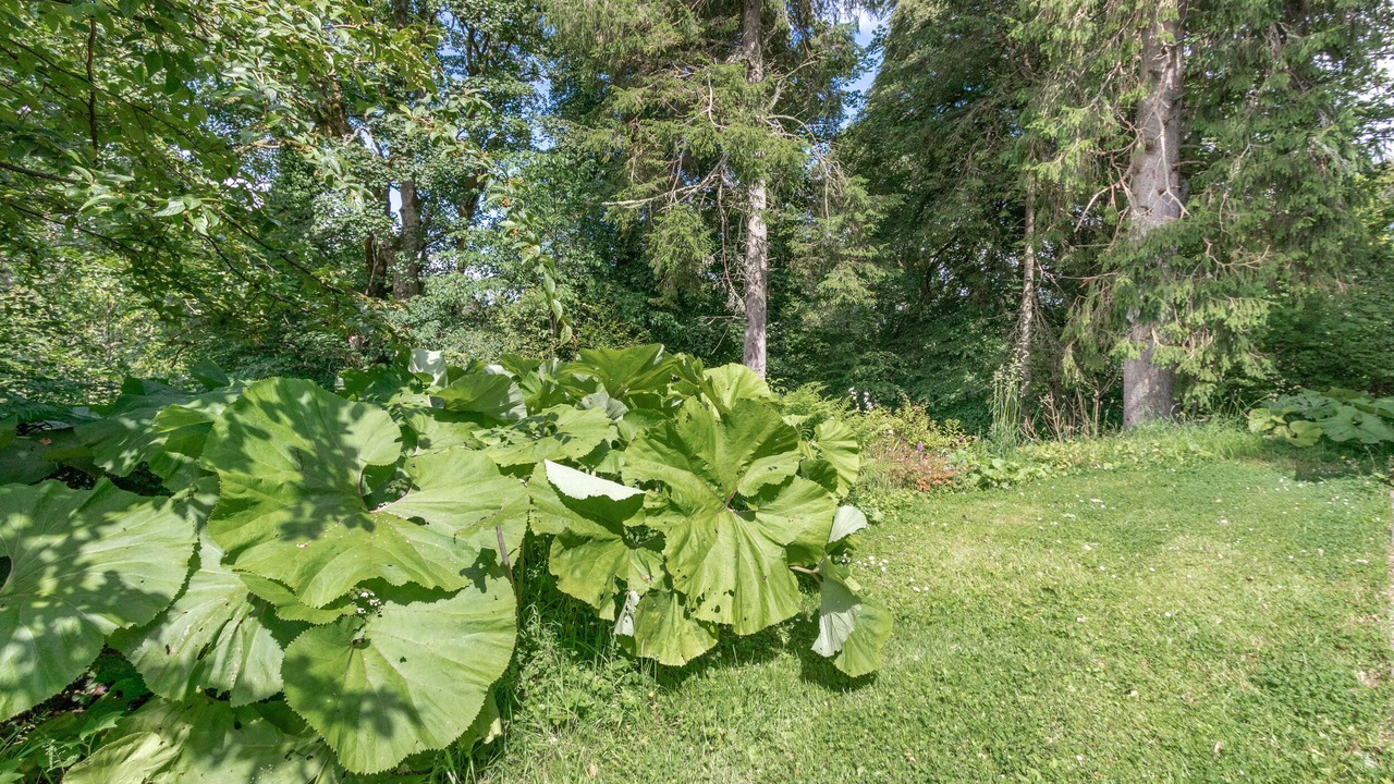 Photo of Outdoor in Dunblane