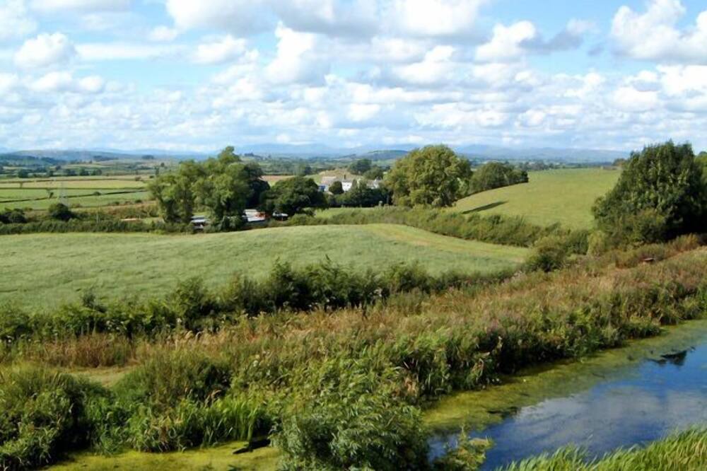 Photo of Others in Burton