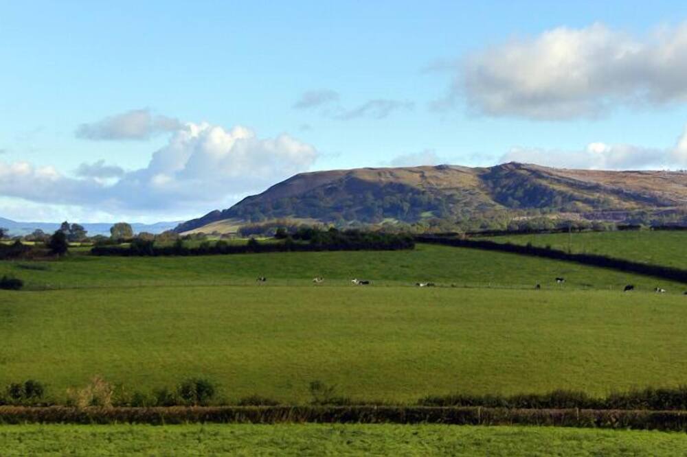 Photo of Others in Burton