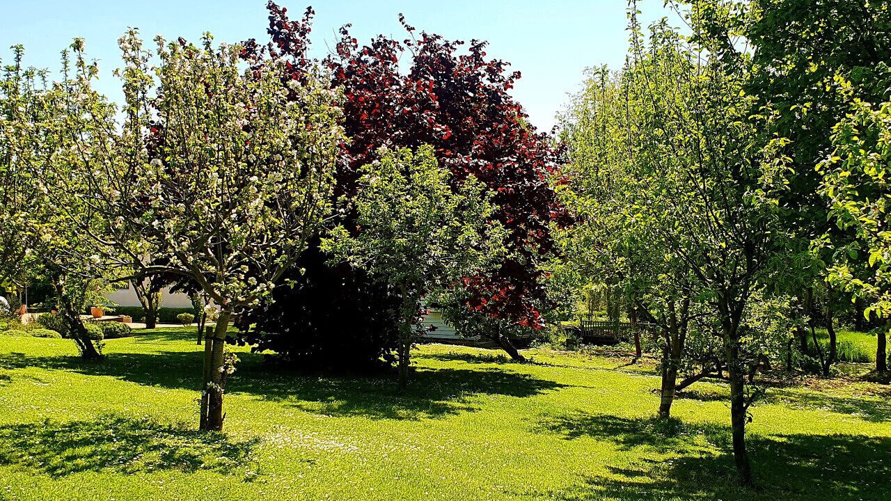 Photo of Outdoor in Chediston