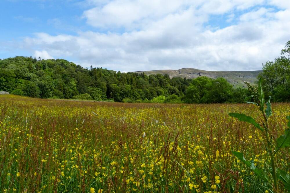 Photo of Outdoor in Reeth
