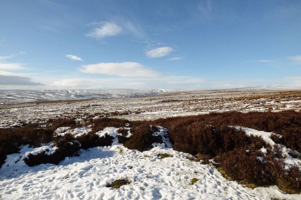 Photo of Others in Reeth