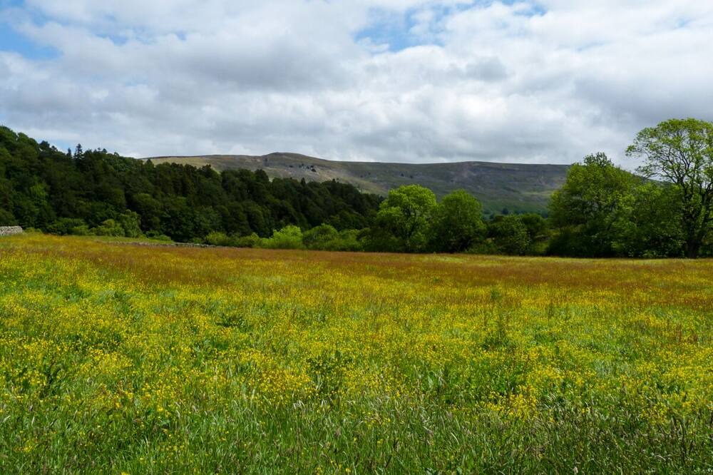Photo of Outdoor in Reeth