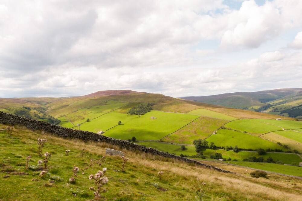 Photo of Others in Reeth