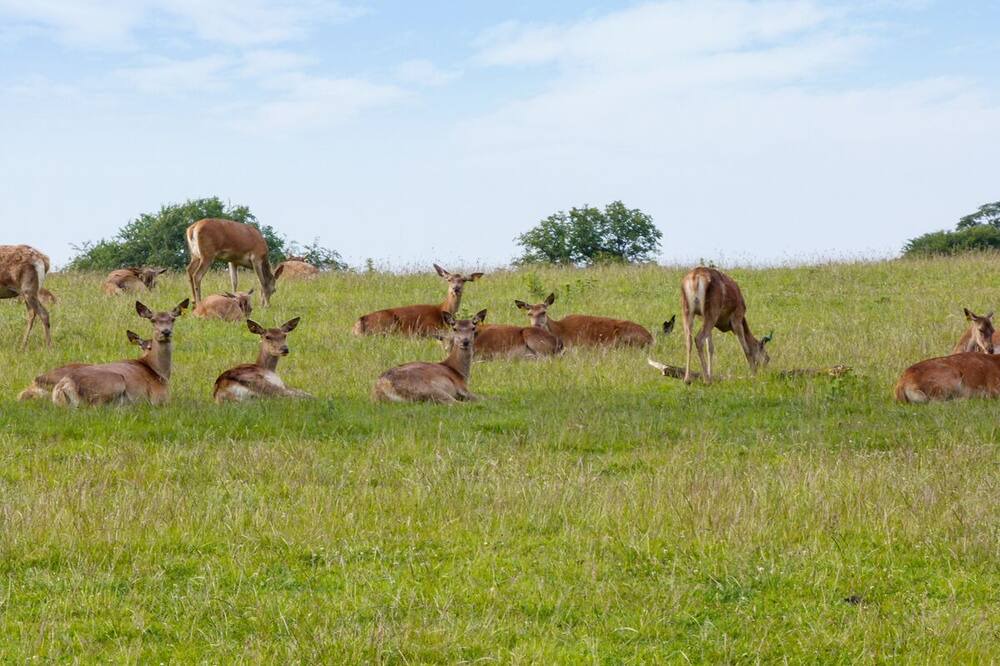 Photo of Outdoor in Reeth
