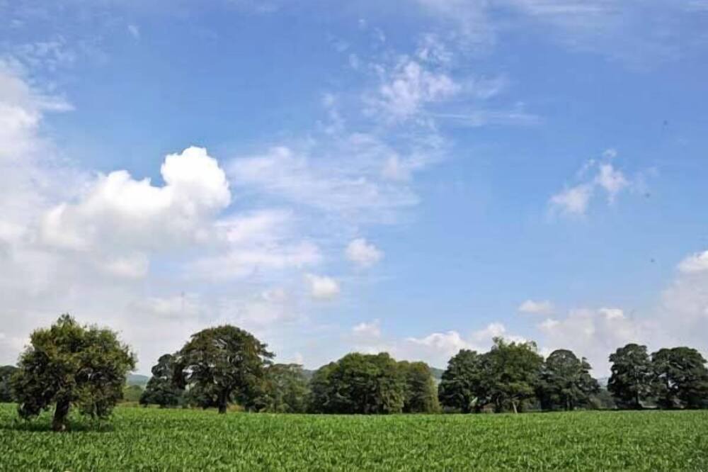 Photo of Outdoor in Leek