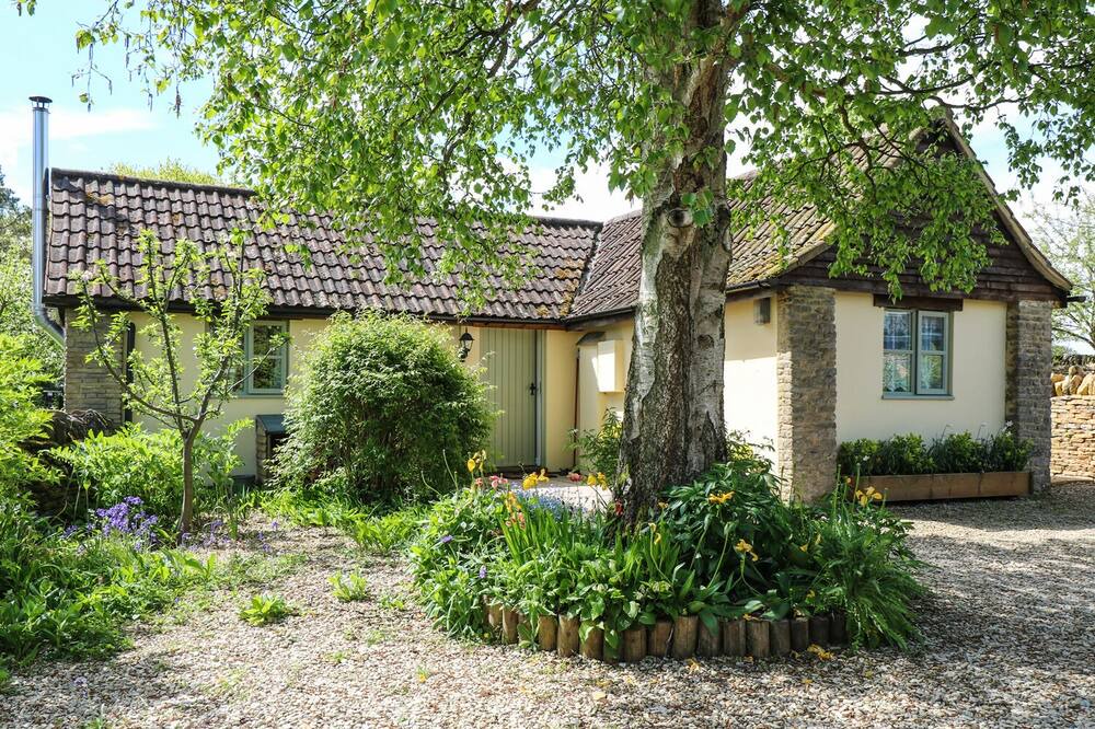 Photo of Others in Nettleton