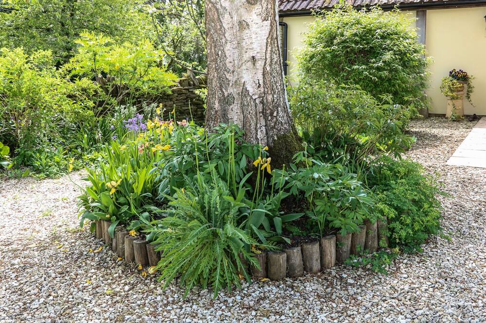 Photo of Outdoor in Nettleton