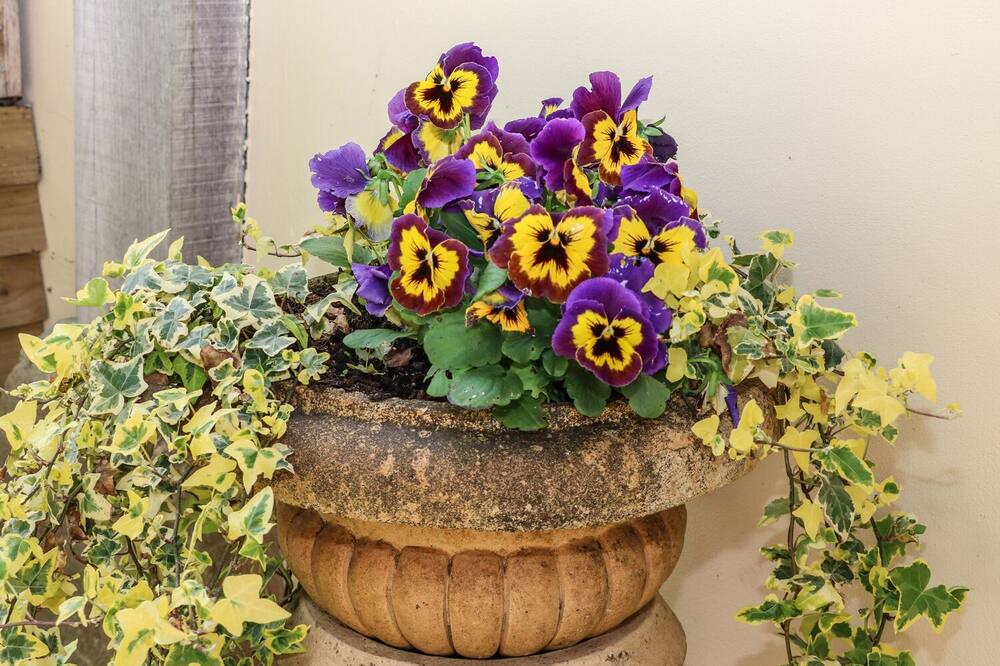 Photo of Outdoor in Nettleton