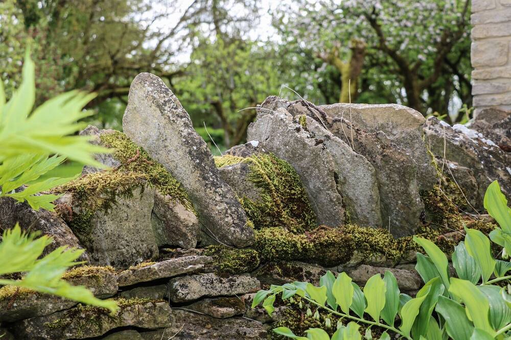 Photo of Outdoor in Nettleton