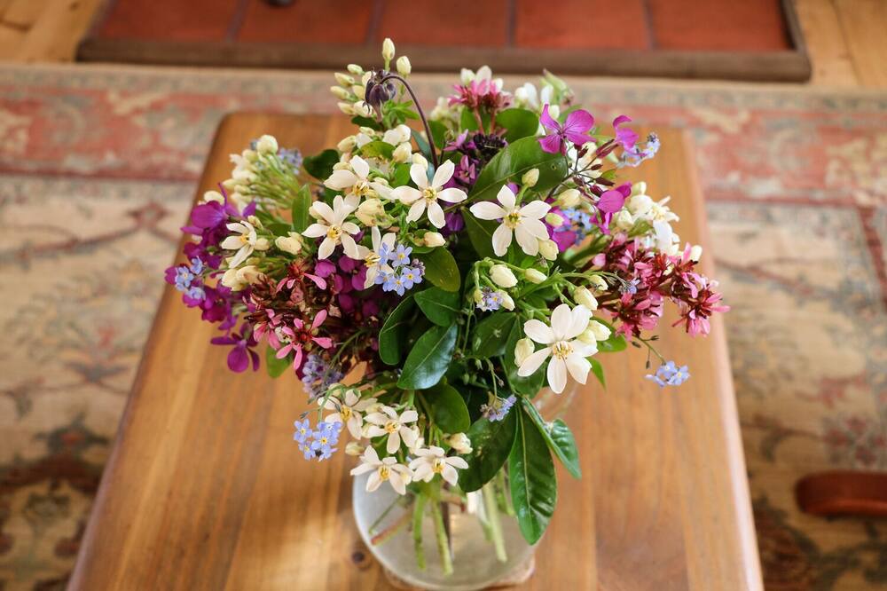 Photo of Others in Nettleton