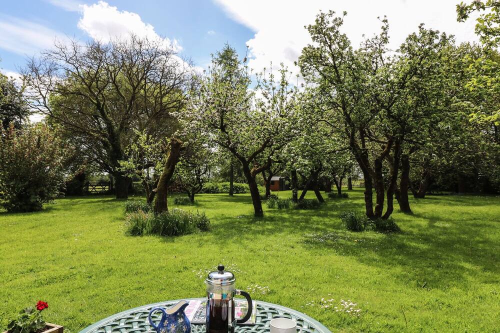 Photo of Outdoor in Nettleton