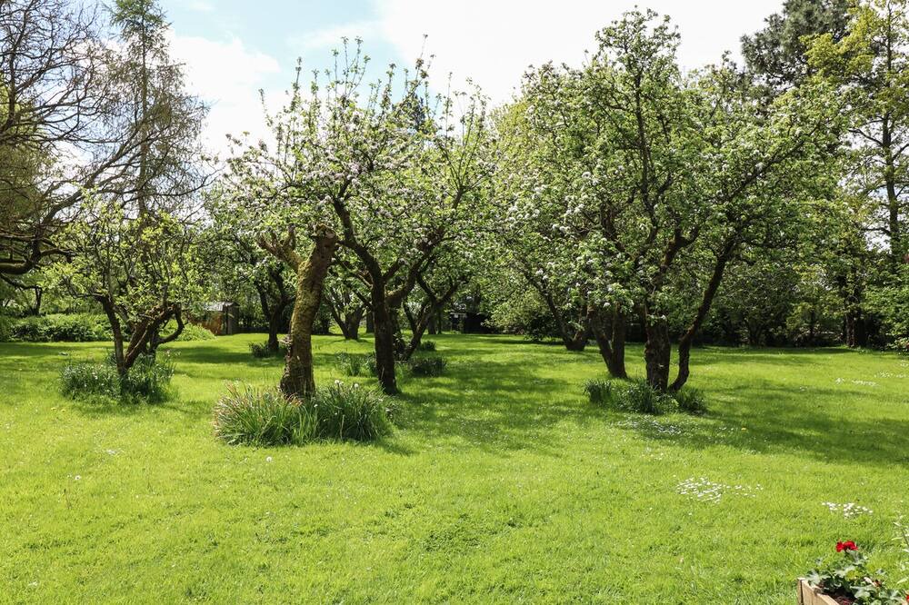 Photo of Outdoor in Nettleton