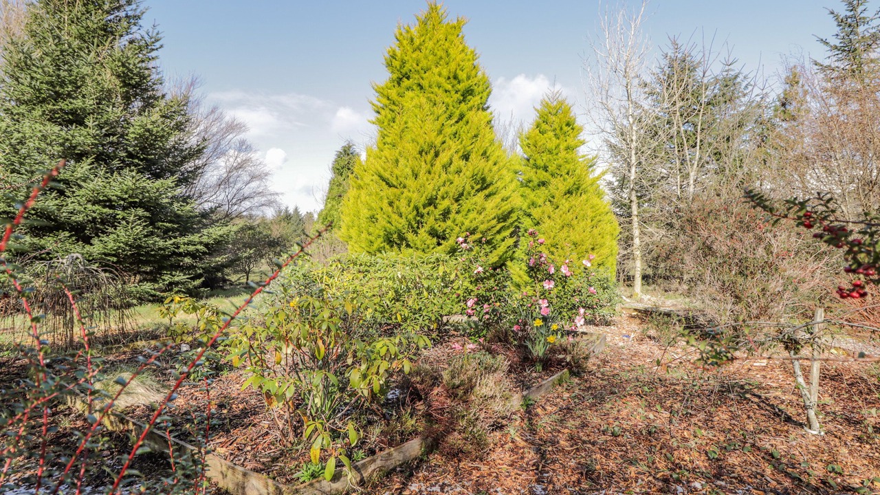 Photo of Outdoor in Bornesketaig