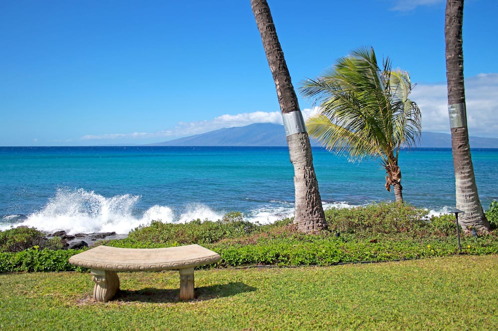 Photo of Others in Honokowai