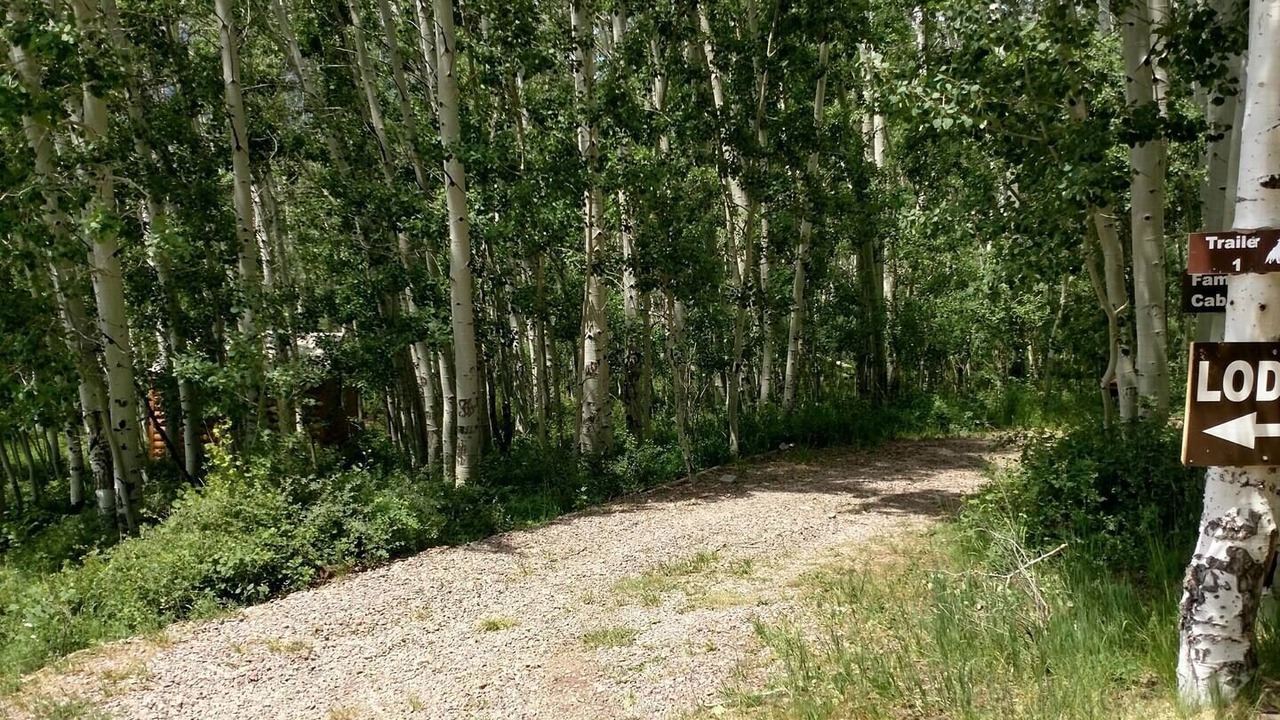 Photo of Outdoor in Monticello