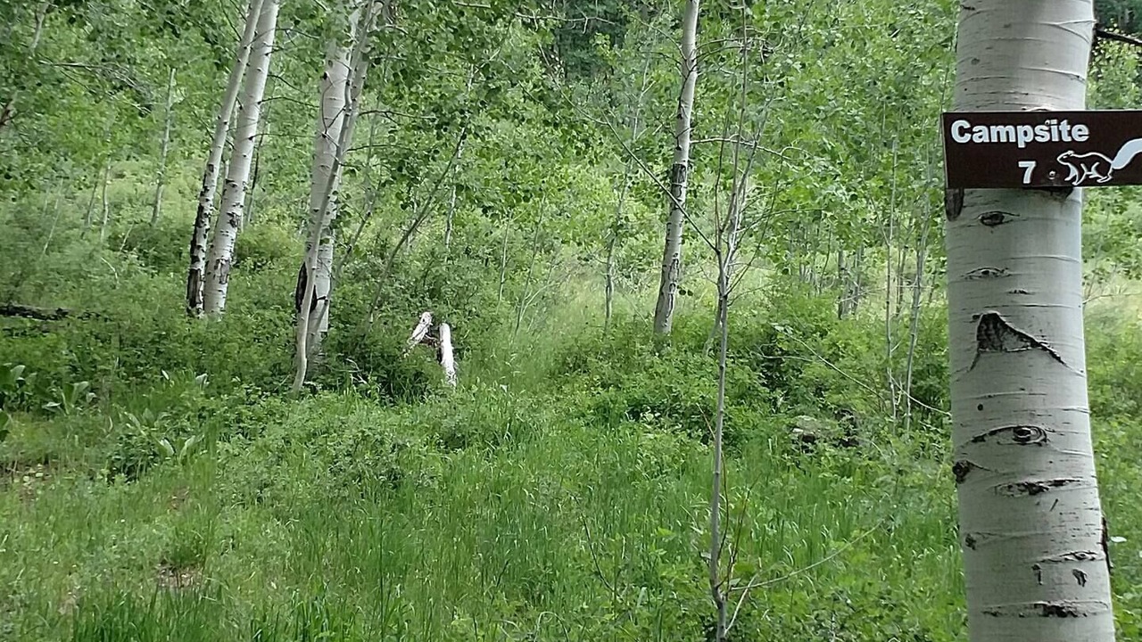 Photo of Outdoor in Monticello