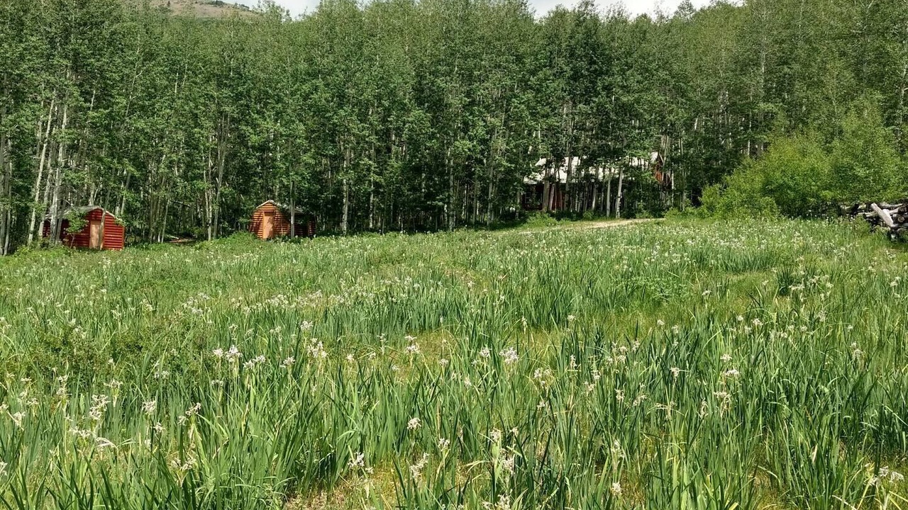 Photo of Outdoor in Monticello