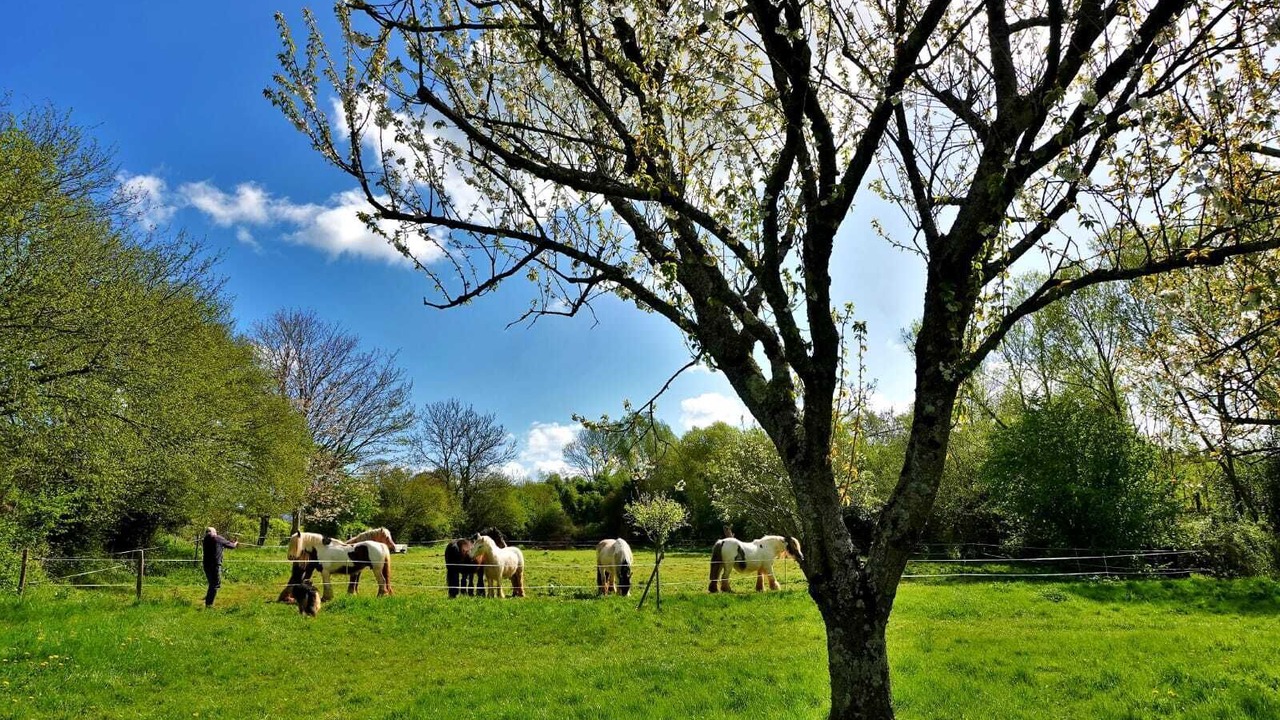 Photo of Outdoor in Isigny-sur-Mer
