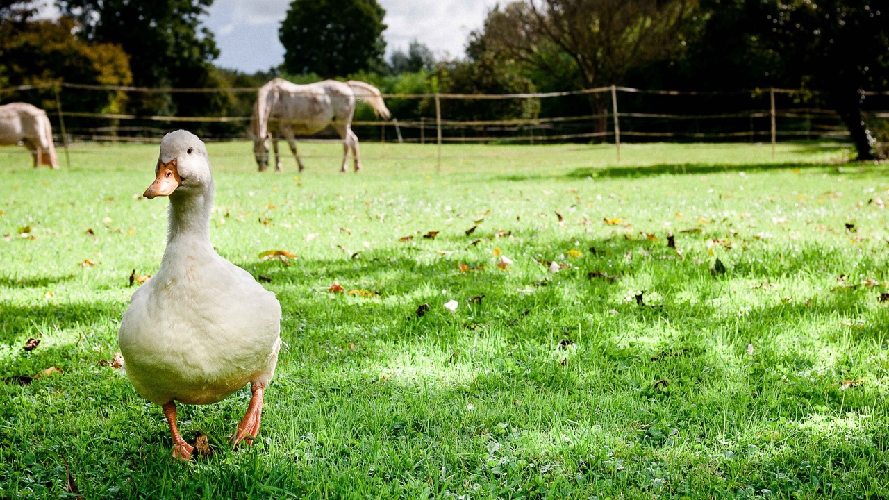 Photo of Outdoor in Isigny-sur-Mer